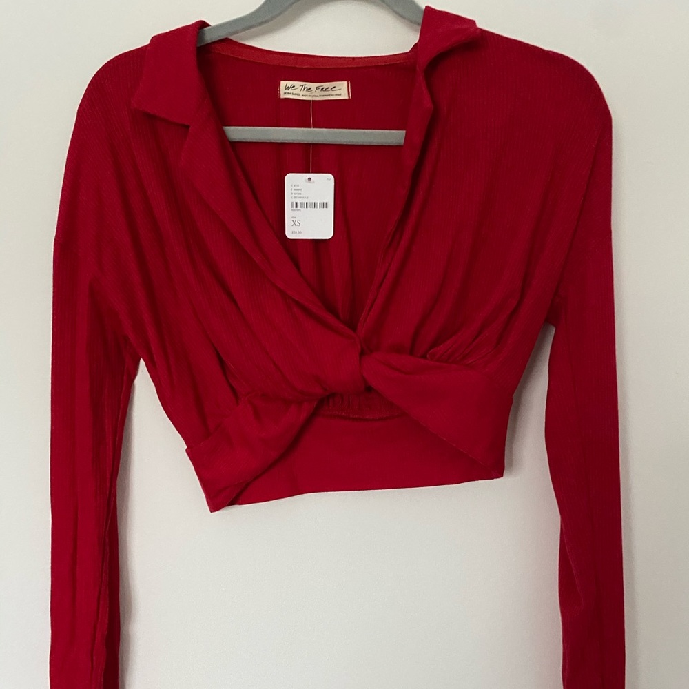 FP Long Sleeve Plunge Crop Top